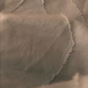 Meet your Posher, Abbie